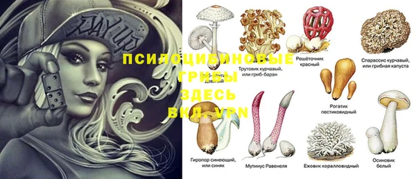 прущий лед Лихославль